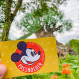 BREAKING: Select Walt Disney World Annual Passes Available Again