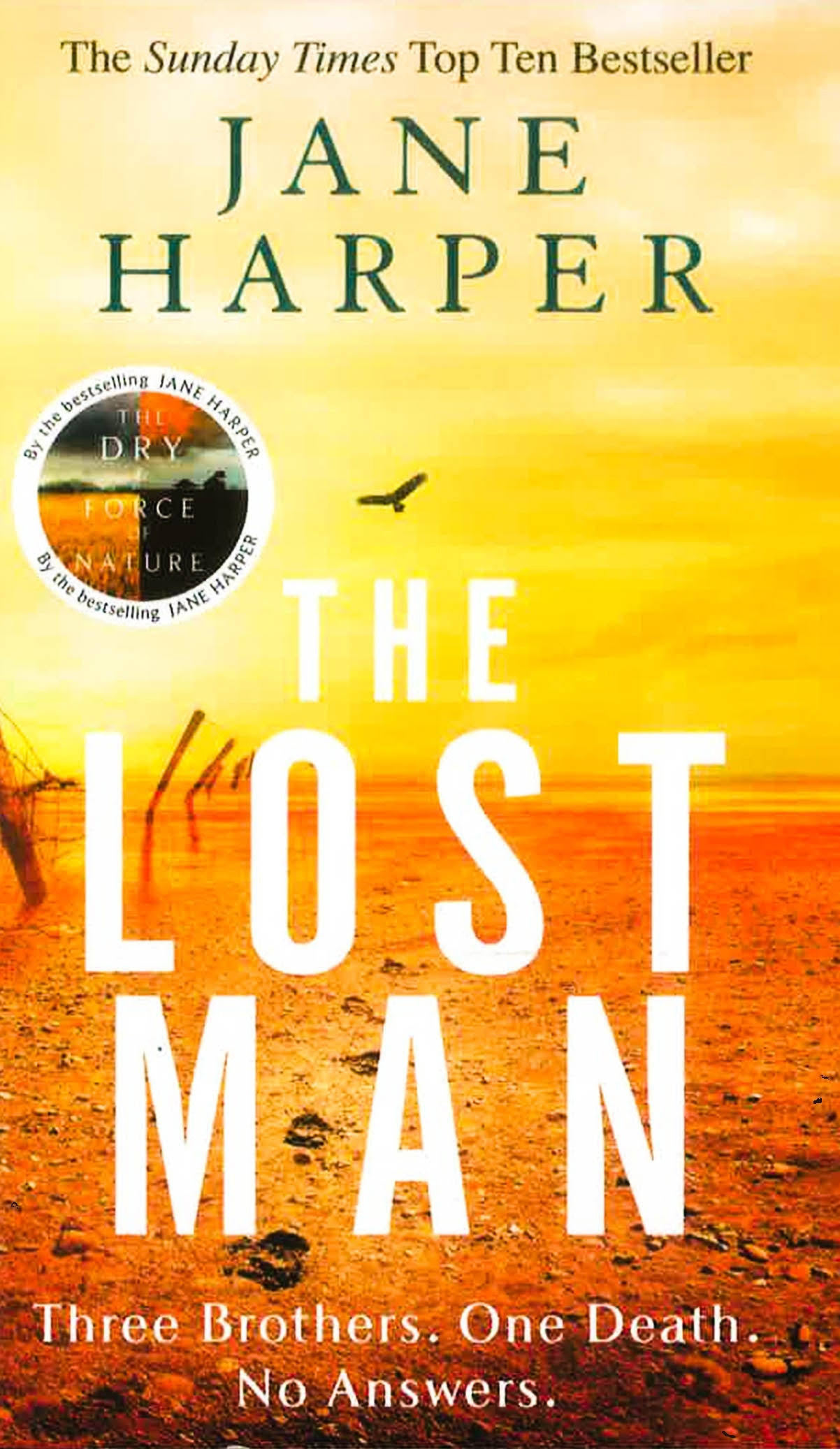 The Lost Man [Book]