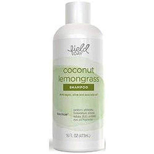 Field Day Coconut Lemongrass Shampoo, 16 Fluid Ounce - 6 per case.