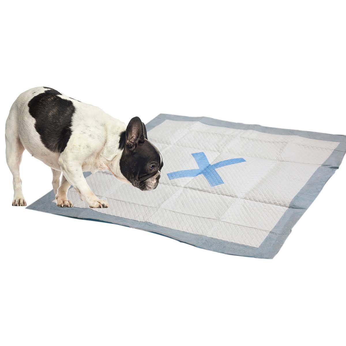ETHICAL PETS X Marks The Spot Puppy Pads 22"X22" 30/Pkg