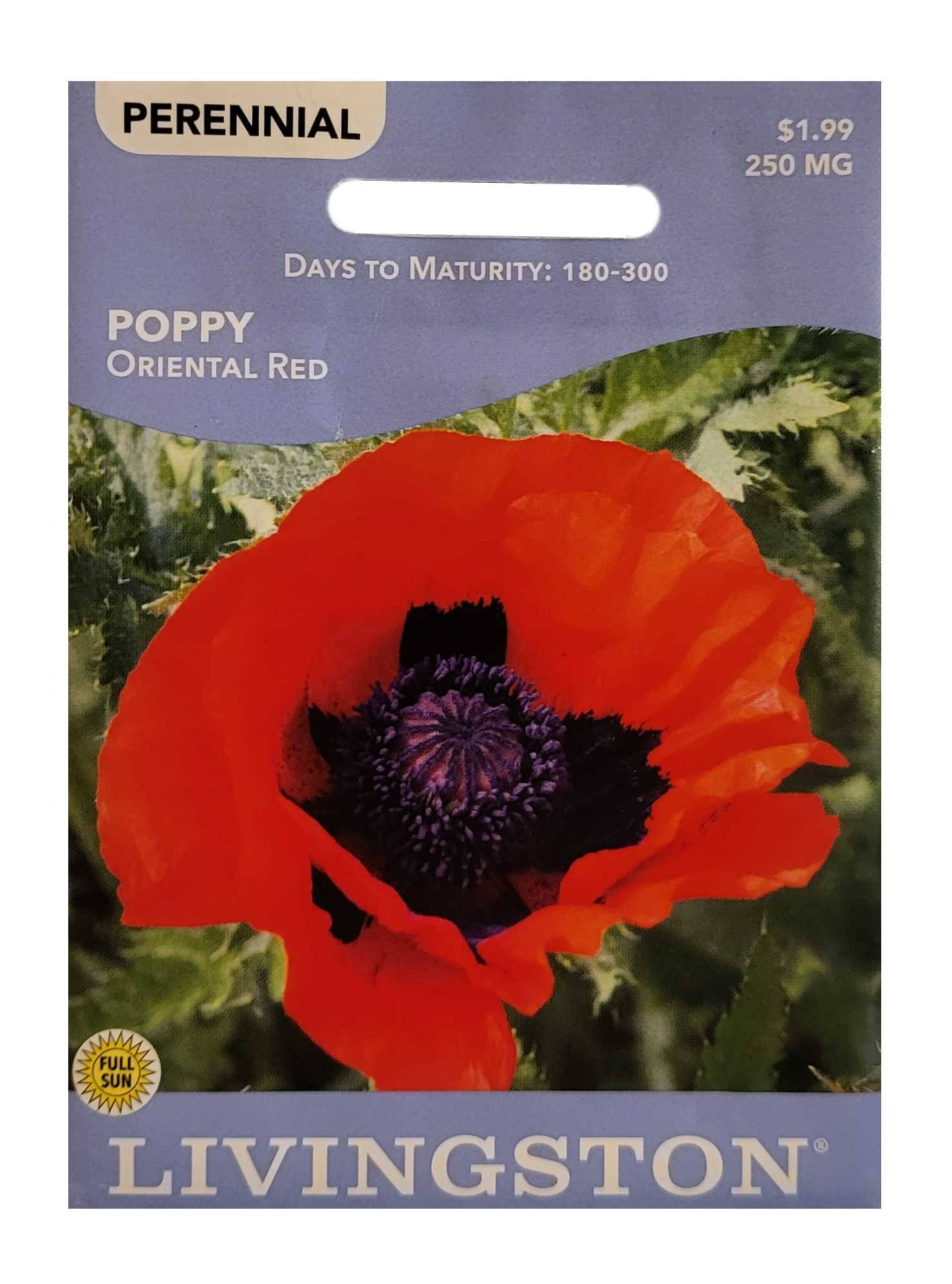 Seed Packet - Poppy - Oriental Red