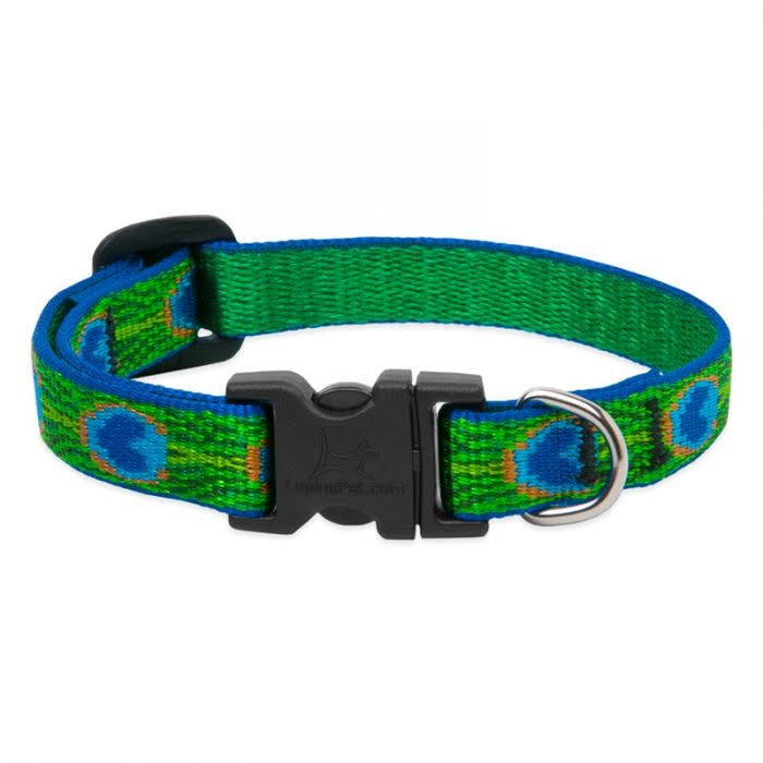 Lupine Tail Feathers Martingale Combo Collar - 1"W, 19-27"Neck