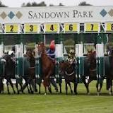 Horse Racing Tips: The most tipped horses from Sandown including the Henry II and Brigadier Stakes