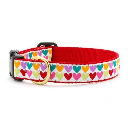 (Teacup, Multicoloured) Up Country Pop Hearts Collar