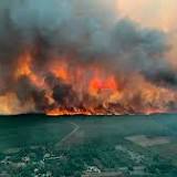 Wieder Waldbrand bei Bordeaux - Verdacht auf Brandstiftung