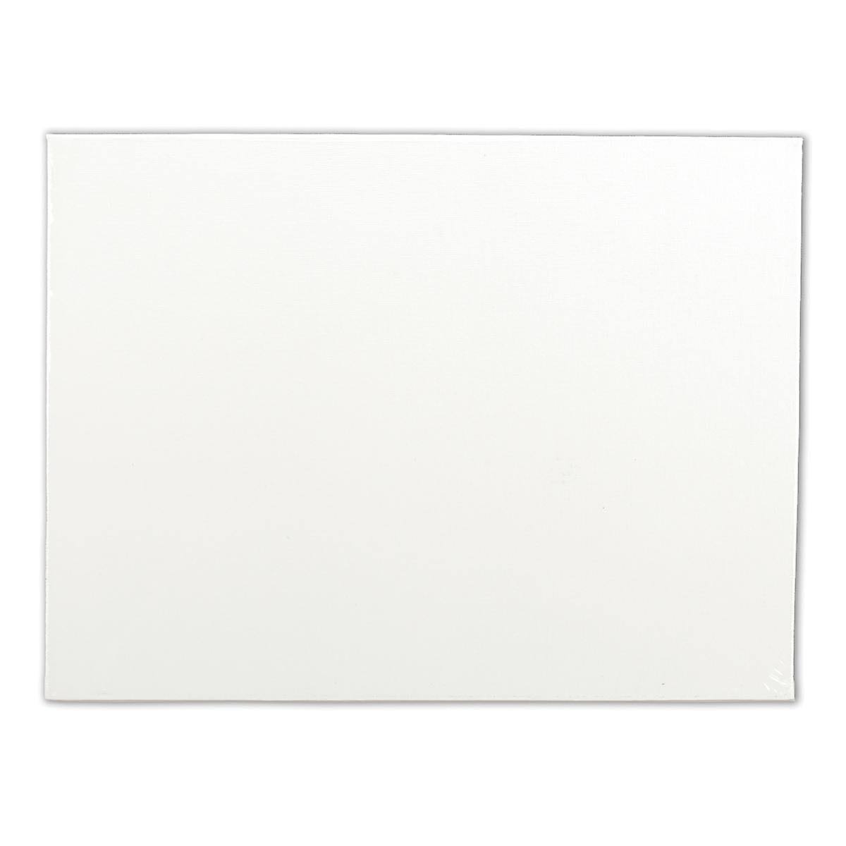 Artists' Quality Canvas Board 12"x16"