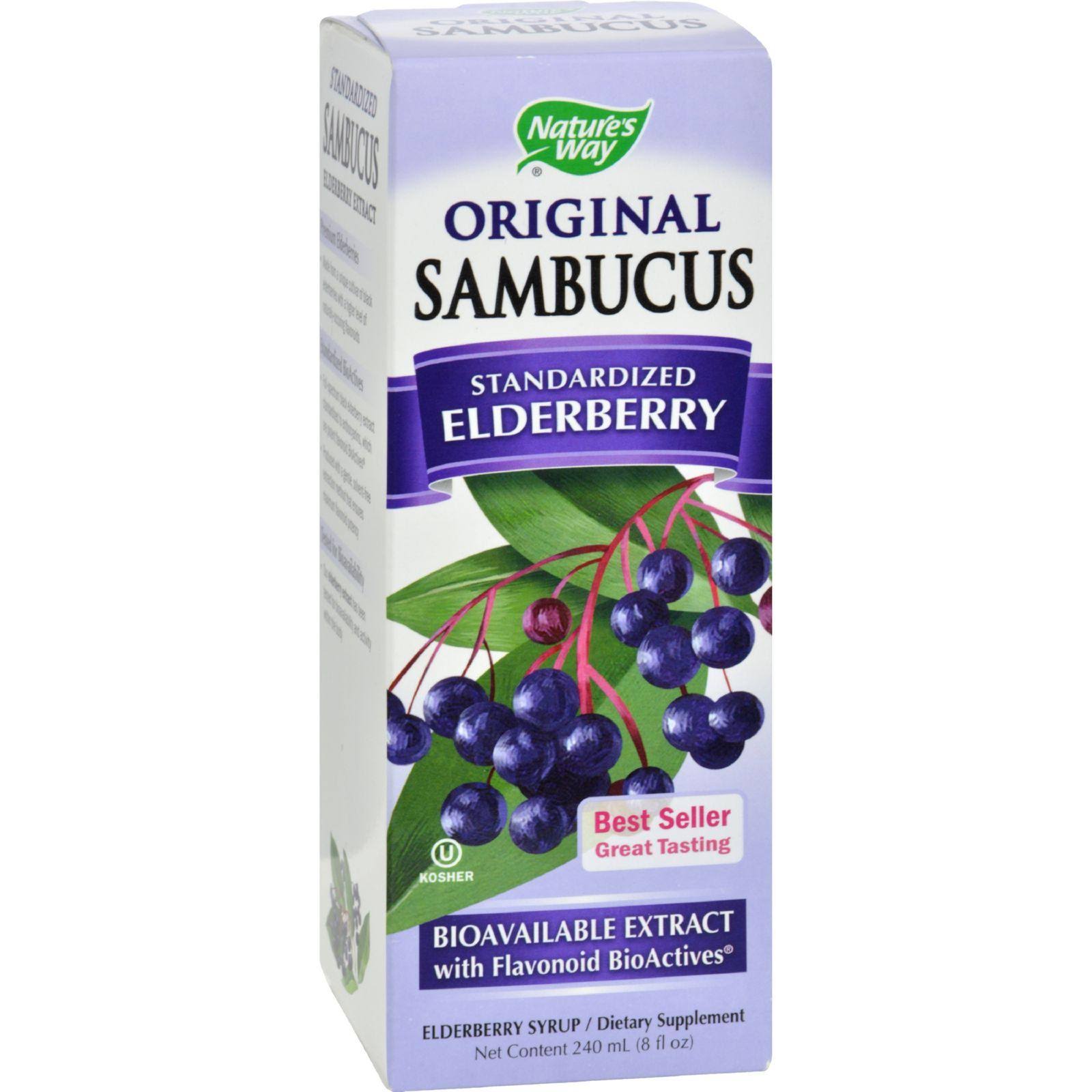 Nature's Way Sambucus Dietary Supplement Syrup - Black Elderberry, 8oz