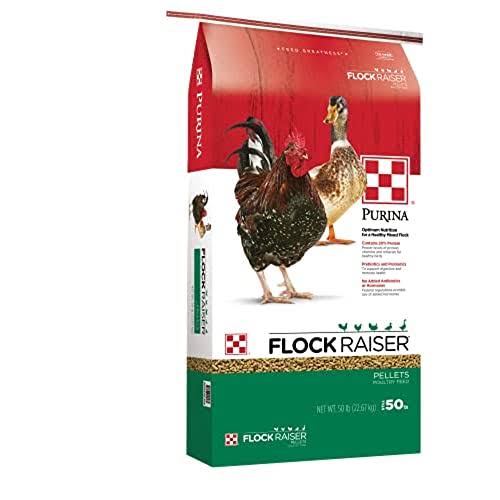 Purina Flock Raiser Pellets 50lb - 3003340-206