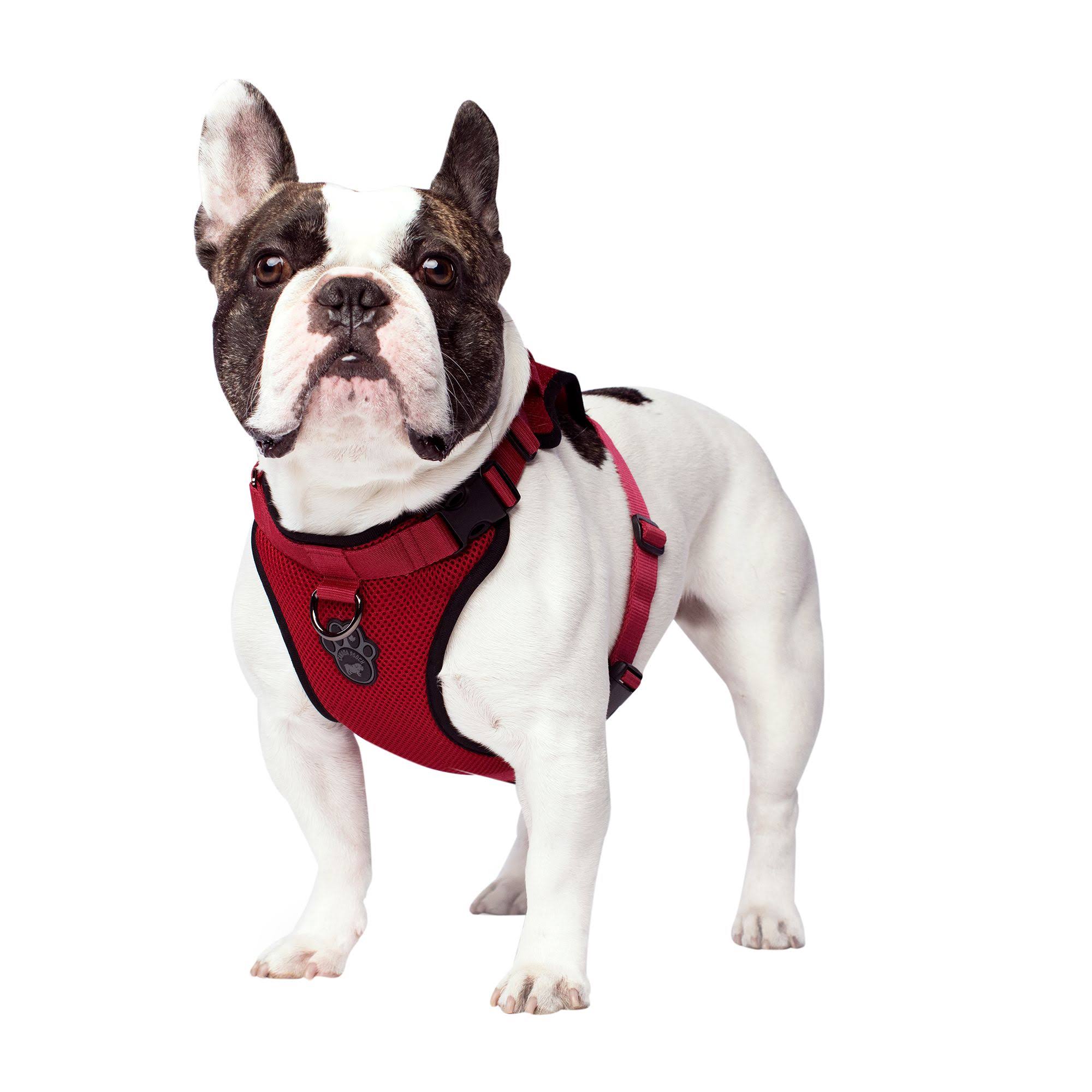 Canada Pooch The Everything Mesh Dog Harness, Red, Large
