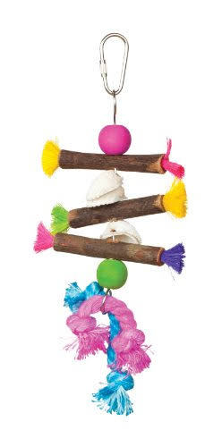 Prevue Hendryx 62505 Tropical Teasers Shells and Sticks Bird Toy