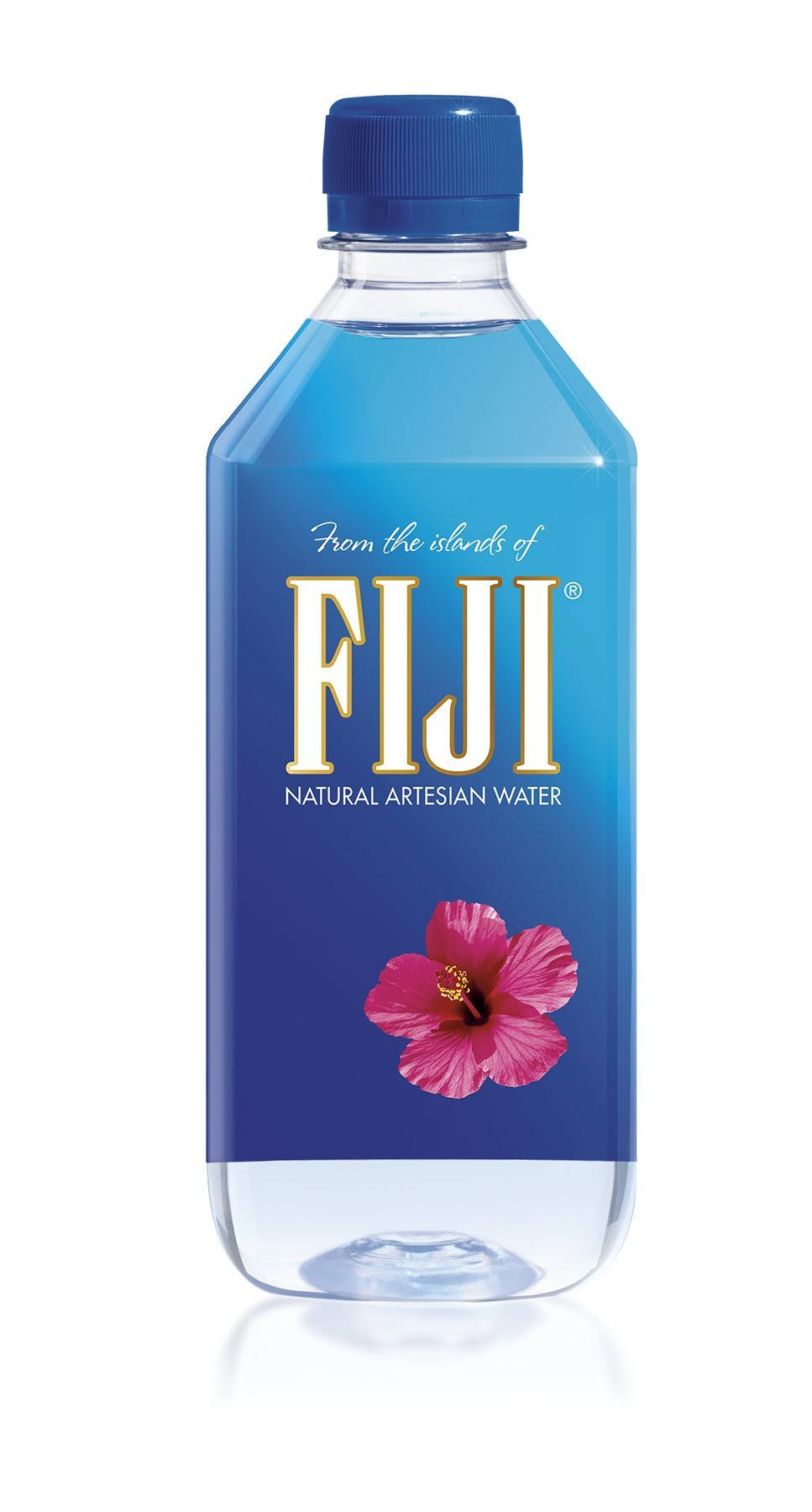 Fiji Natural Artesian Water - 500ml