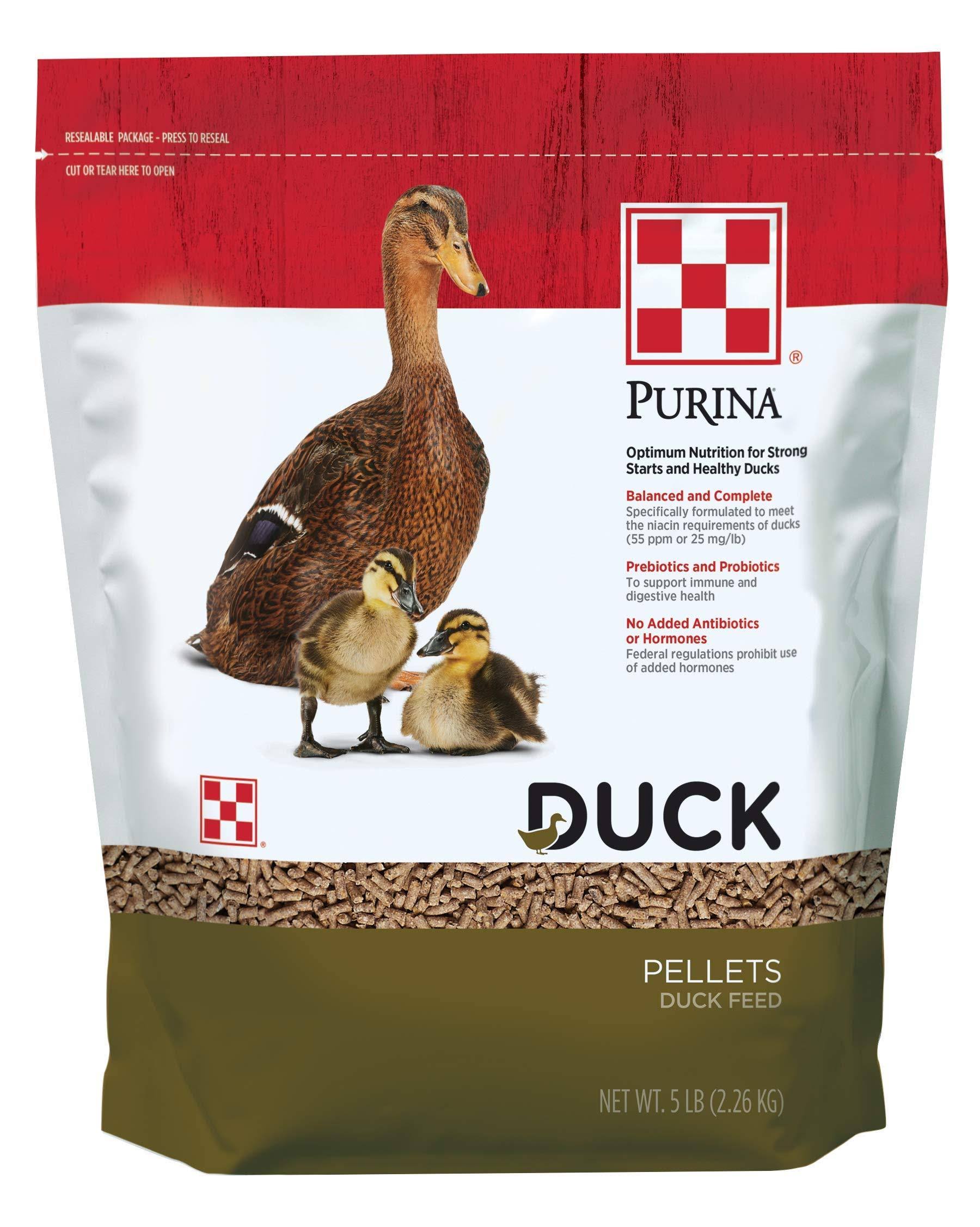 Purina Duck Feed Pellets, 5 lbs.