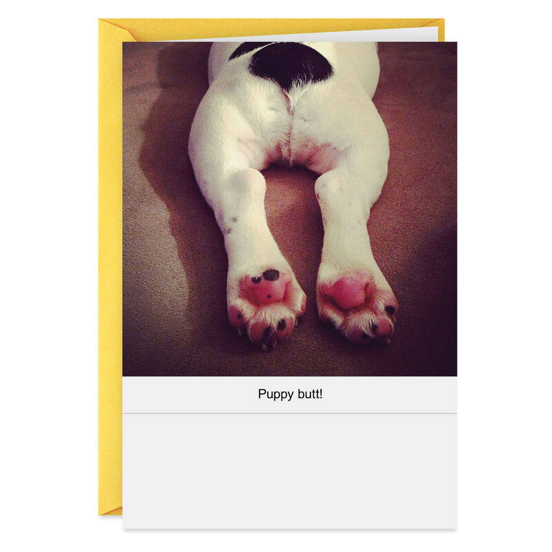 Hallmark Birthday Card, Puppy Butt Funny Thinking of You Card