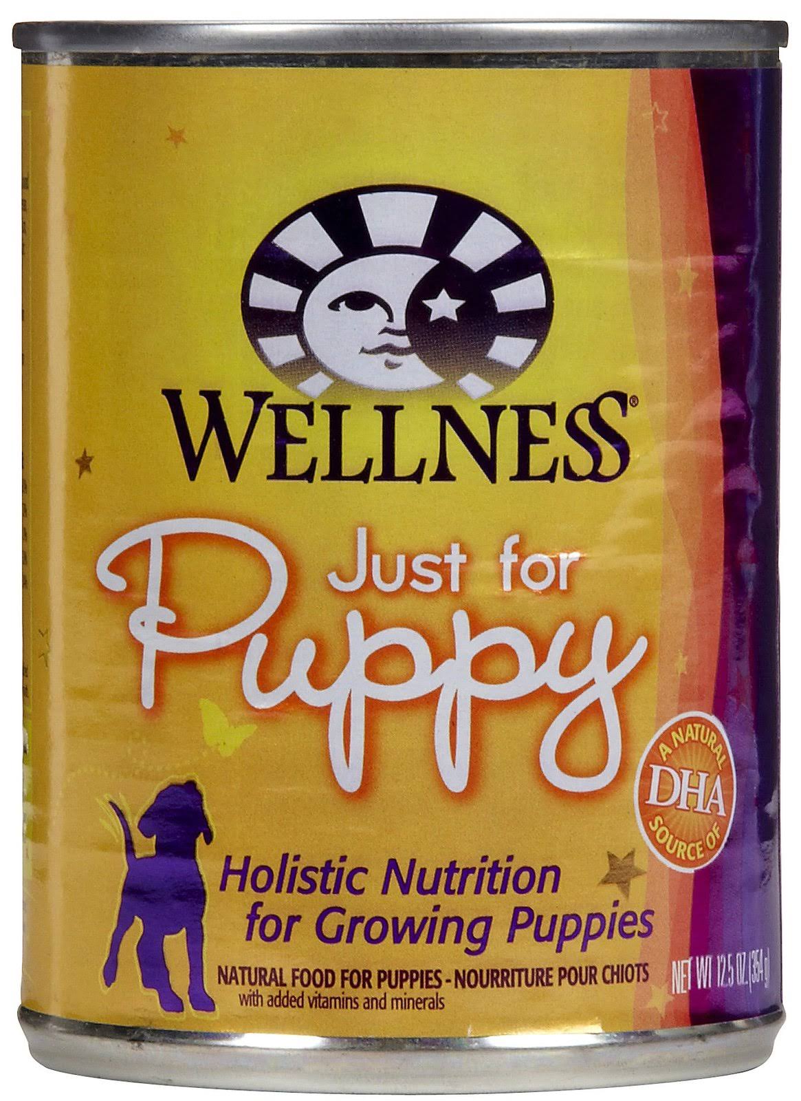 Wellness Complete Health Natural Wet Canned Dog Food - Puppy, 12.5oz