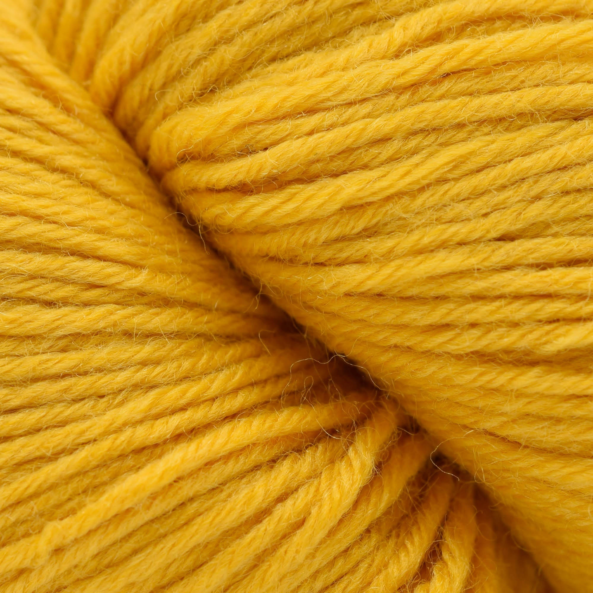 Cascade Yarns Heritage 6 - Michigan Fine Yarns 5752 - Golden Yellow