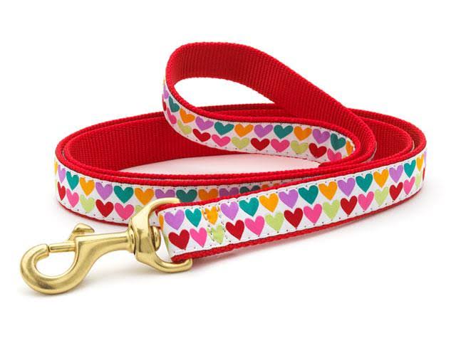 Up Country Pop Hearts Dog Leash, 6-ft, Wide