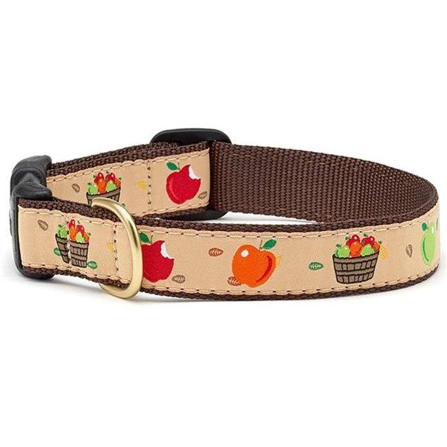 Up Country APPCQ4W Apple of My Eye Dog Collar, Large