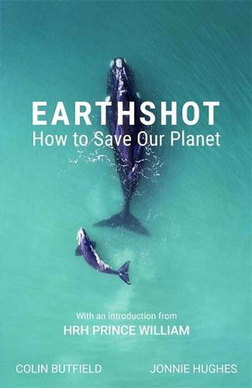 Earthshot by Colin Butfield