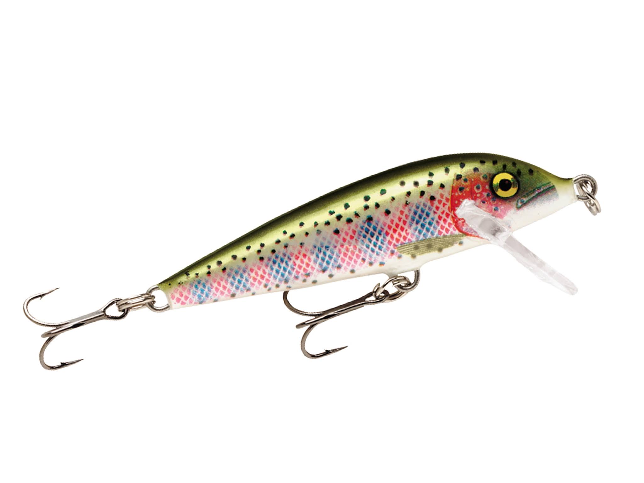 Rapala Countdown 11 Fishing Lure - Rainbow Trout, 11cm