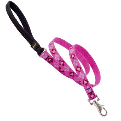 Lupine Puppy Love Patterned Padded Handle Dog Leash - 3/4" x 6'