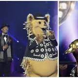 Hedgehog on how being on The Masked Singer encouraged him to reveal he secretly beat cancer