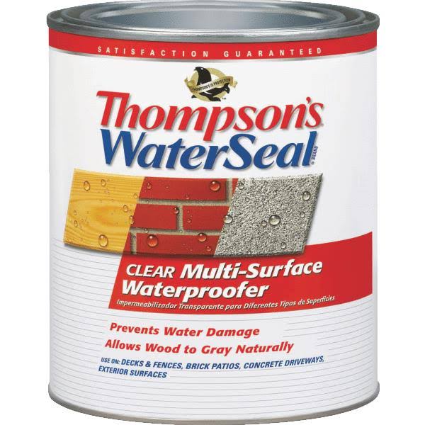Thompson's Water Seal Multi-Surface Waterproofer - Clear