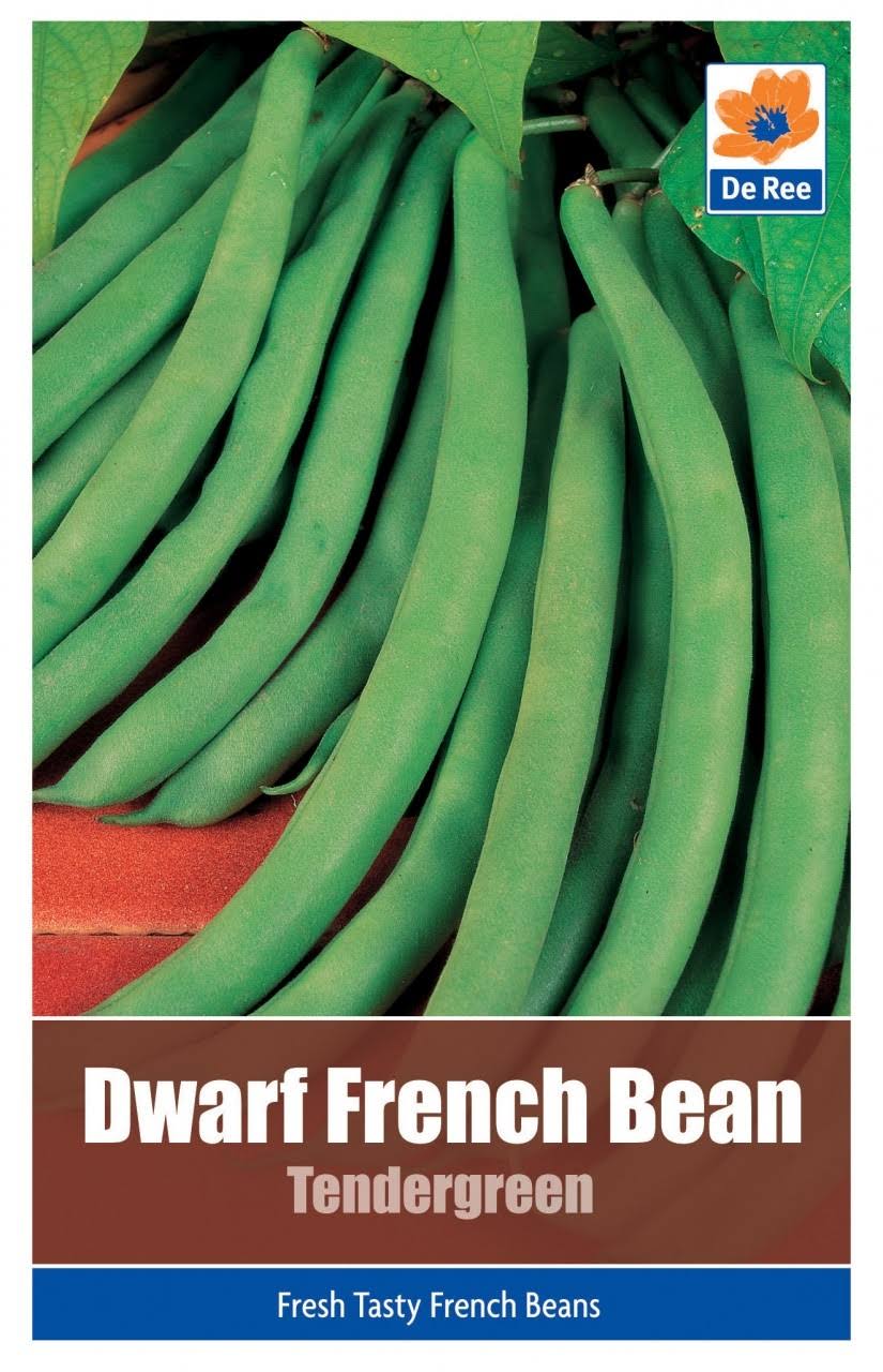 Dwarf French Bean Tendergreen Large Pack (65 Seeds)