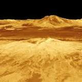 No signs (yet) of life on Venus