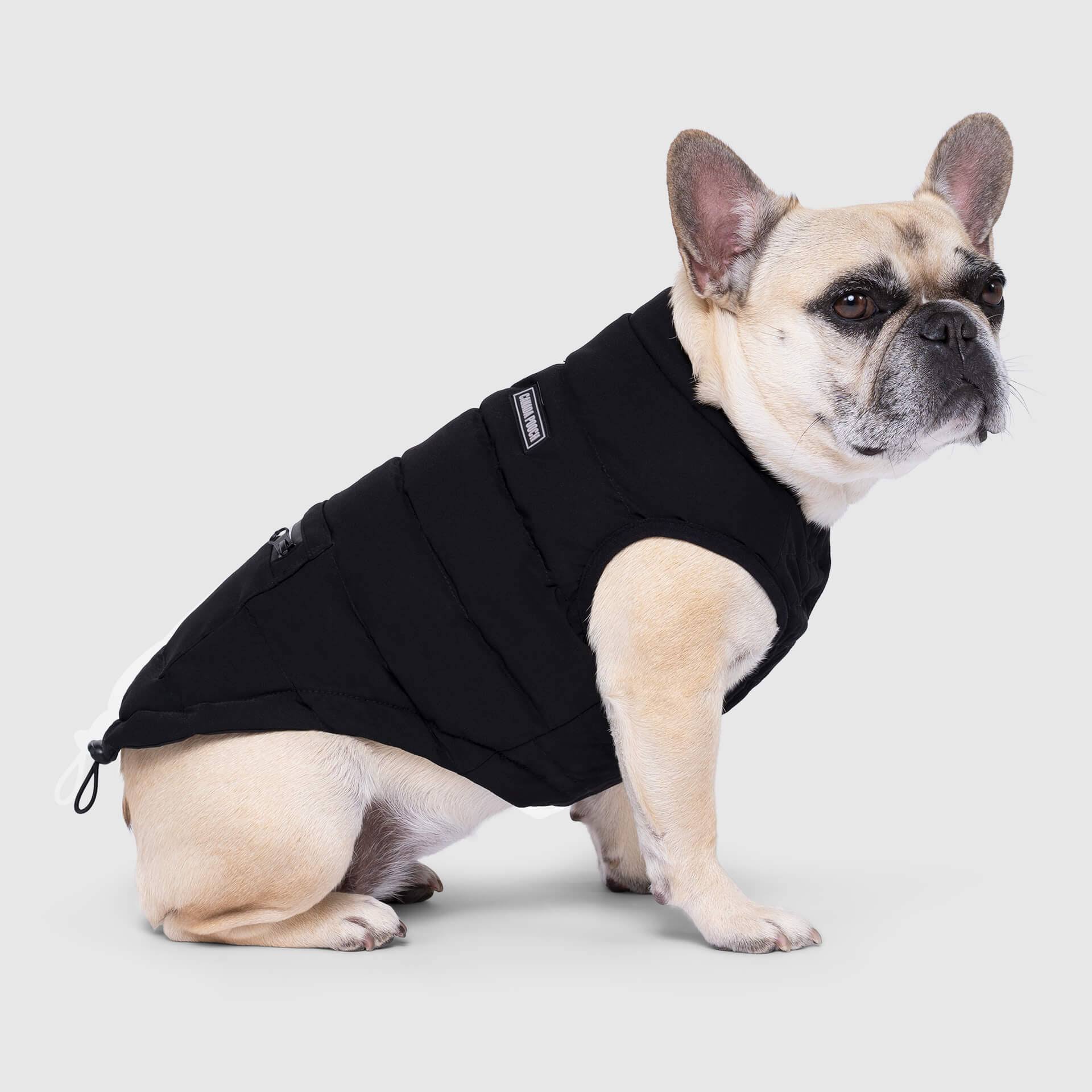 Ultimate Stretch Vest - Black - Canada Pooch - Dog Apparel & Accessories