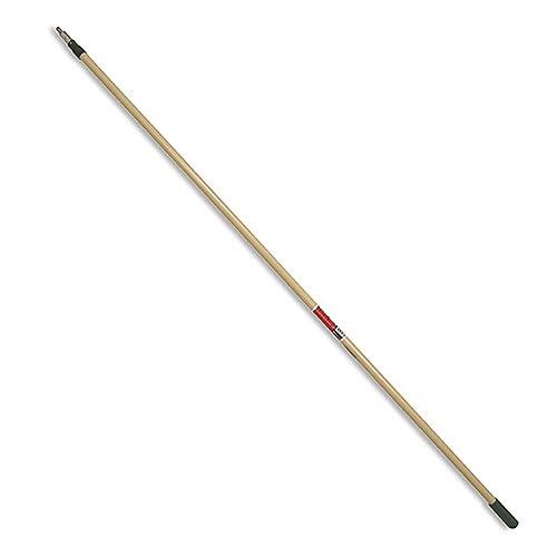 WOOSTER R057 8 to 16 ft. Sherlock Extension Pole