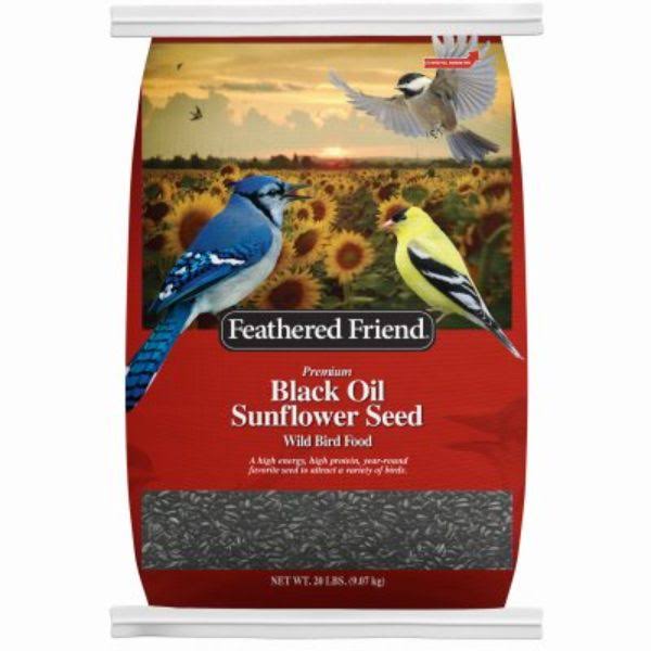 Feathered Friend Black Oil Sunflower Seed Wild Bird Food 20-Lb. Bag 14197