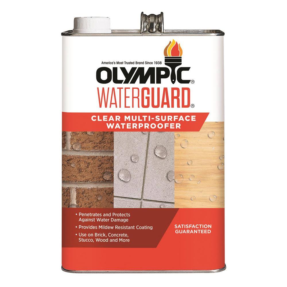 Olympic Waterguard Clear Multi-surface Waterproofing Sealant