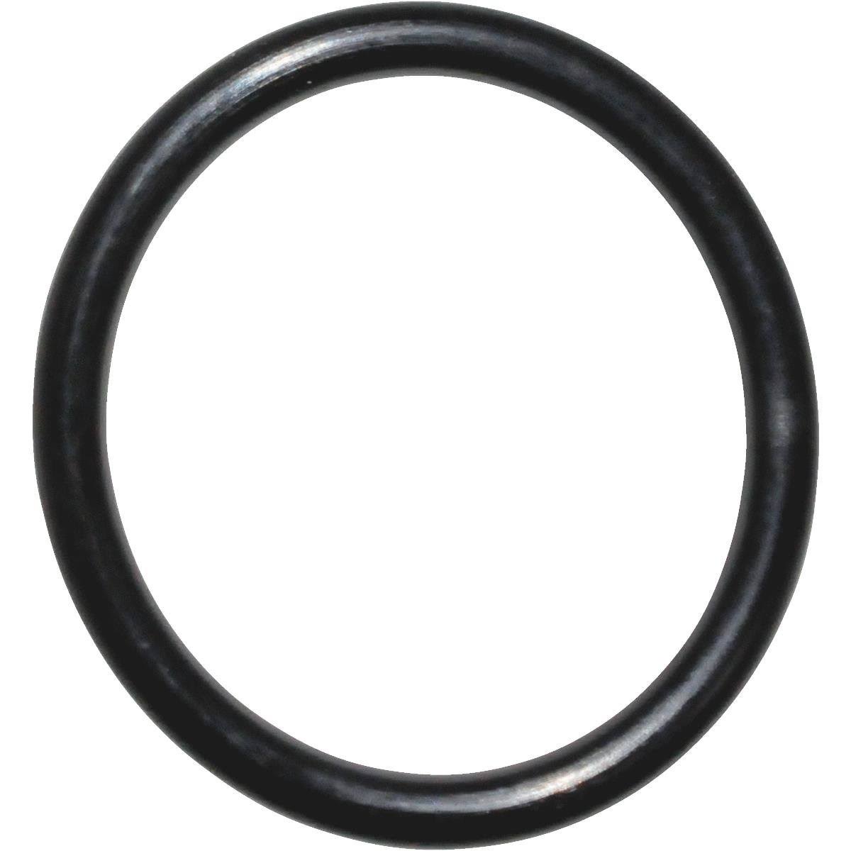 Danco O-Ring - Black, 0.75"x5/8"x1/16"