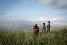 Randonnée dans la zone de conservation du Ngorongoro
