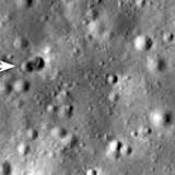 Chunky Turtle Spotted Near NASA's Mega Moon Rocket