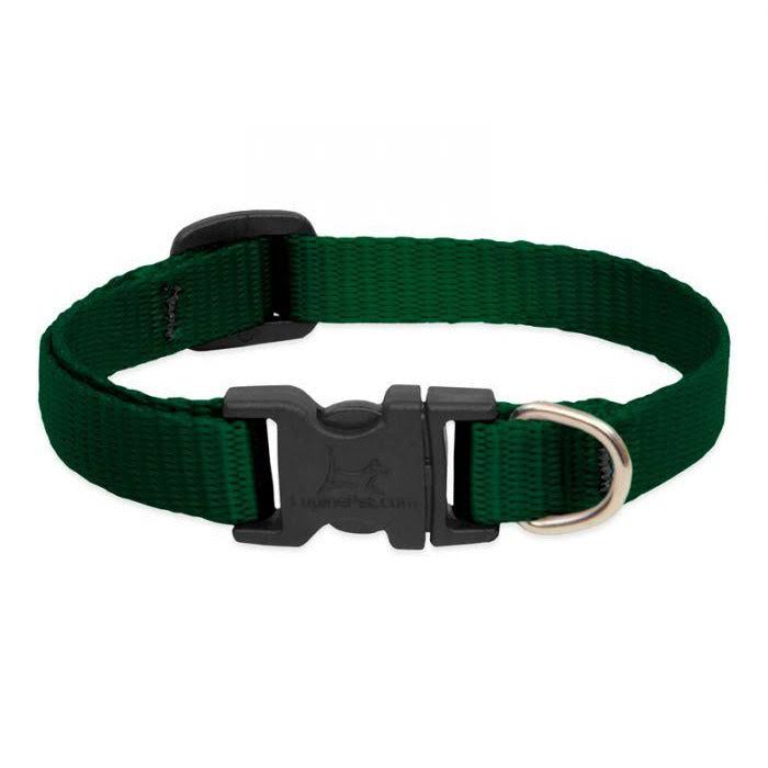LupinePet Adjustable Dog Collar - Green, 1/2 x 10-16 in