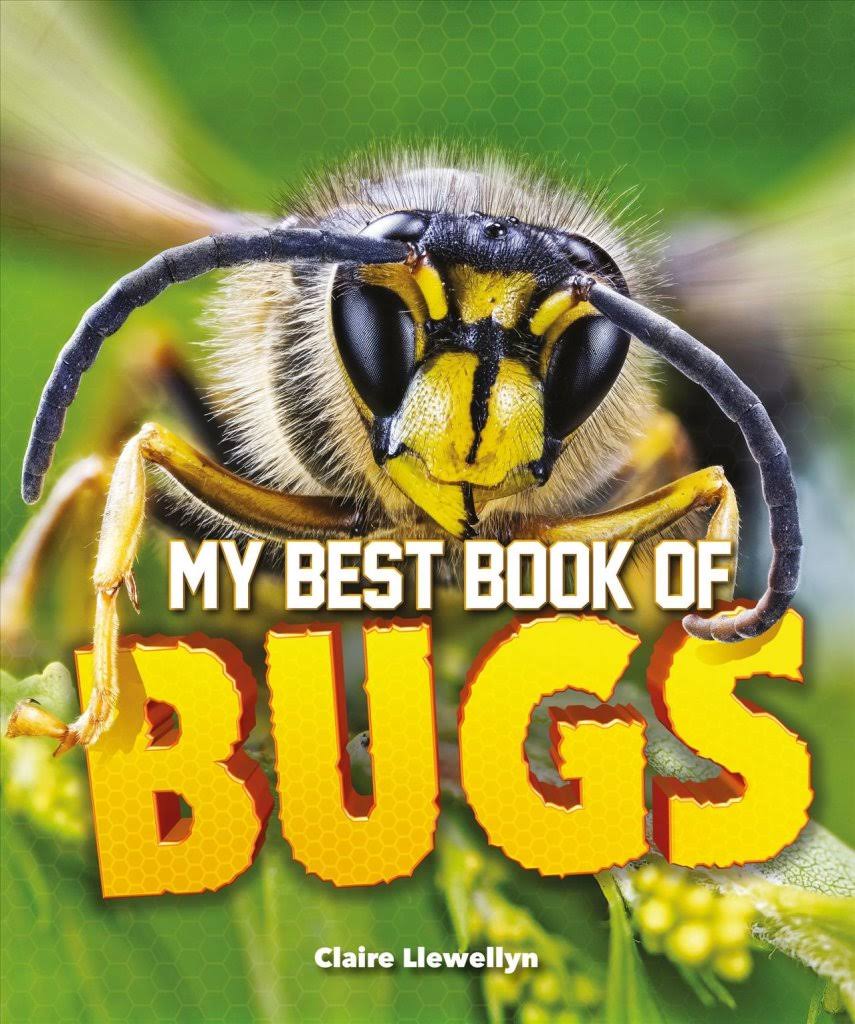 My Best Book of Bugs [Book]