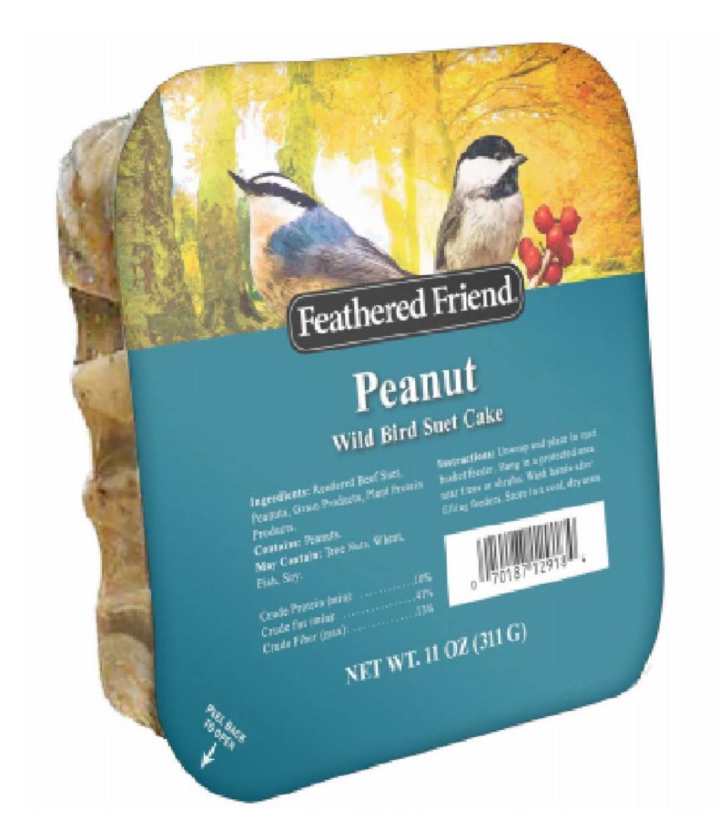 Global Harvest Foods 109802 Peanut Wild Birds Suet Cake