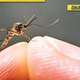 World Mosquito Day 2022: Be Aware! Know About These 5 Deadly Mosquito-Borne Diseases