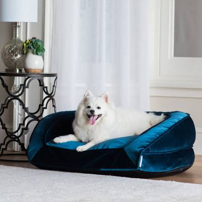 La-Z-Boy Tucker Dog Bolster Wayfair Dog Beds & Mats