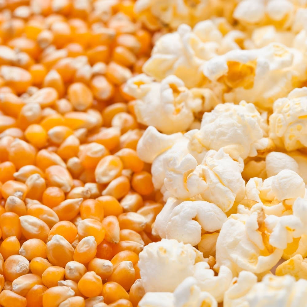 Evergreen Healthfoods Organic Popcorn Kernels - 500g