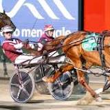 Adam Hamilton casts his eyes over this year's Inter Dominion runners