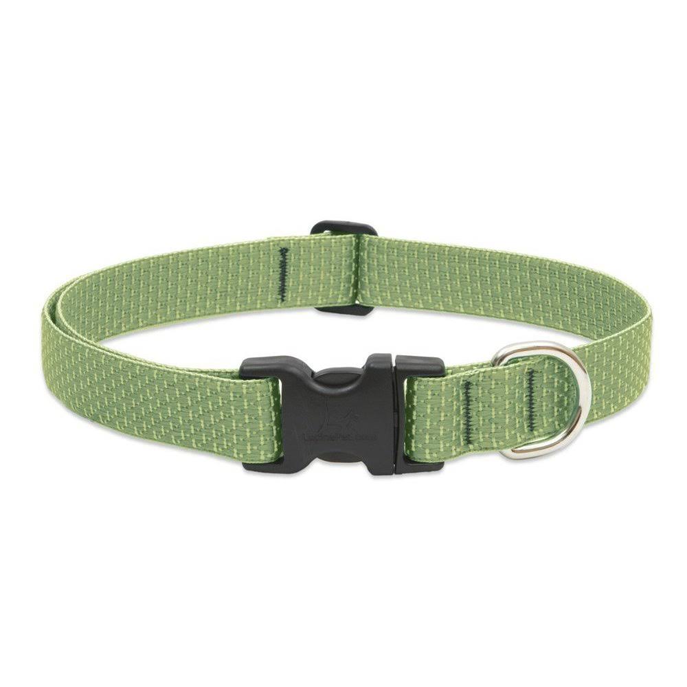 LupinePet Eco 2.5cm Moss for Medium to Large Dogs | Dogs