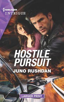 Hostile Pursuit [Book]