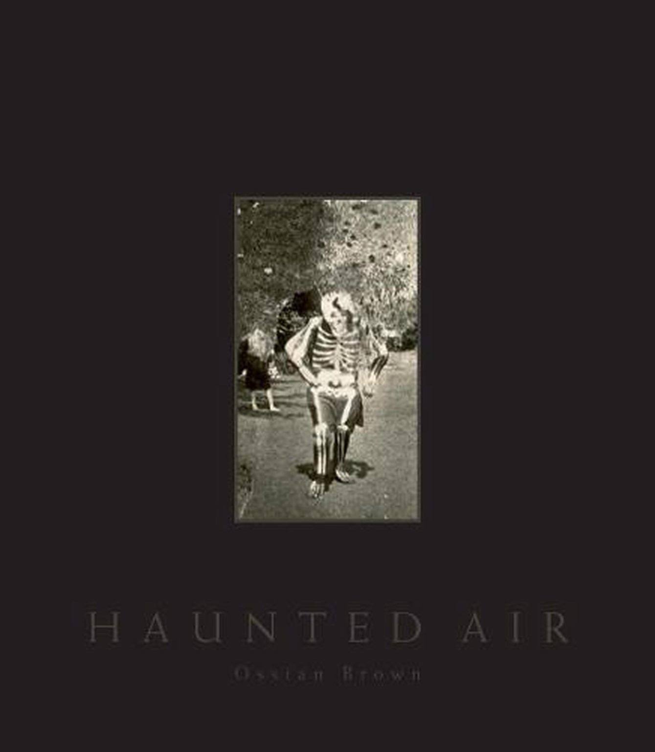 Haunted Air [Book]