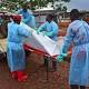 Ebola toll 'vastly underestimated' as food crisis looming