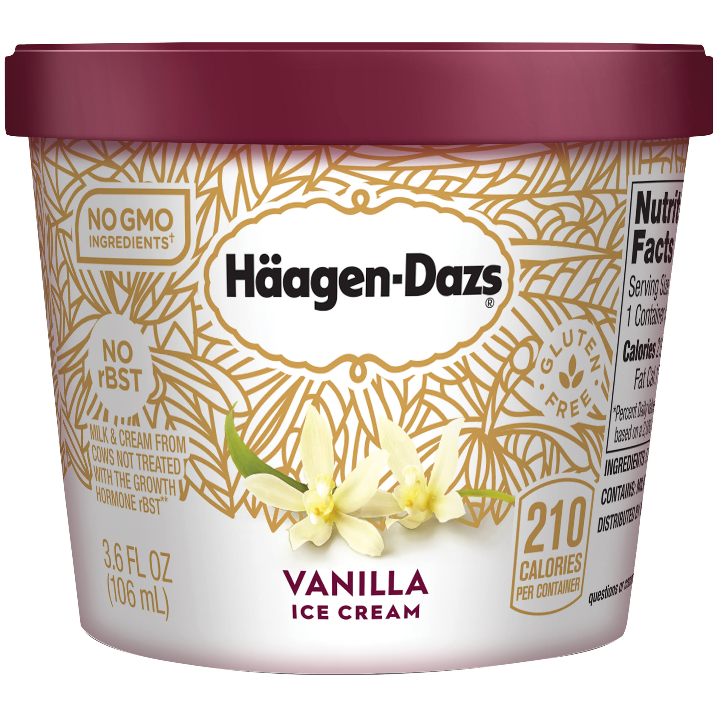 Haagen Dazs Vanilla Ice Cream - 3.6oz
