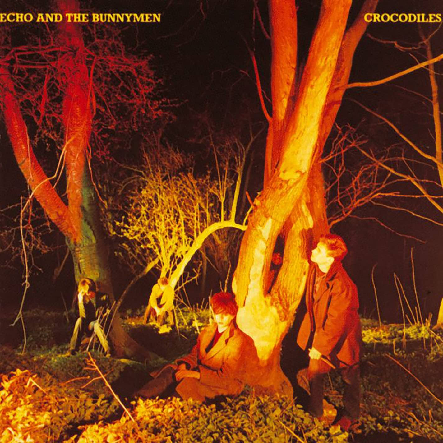 Echo and The Bunnymen - Crocodiles Vinyl