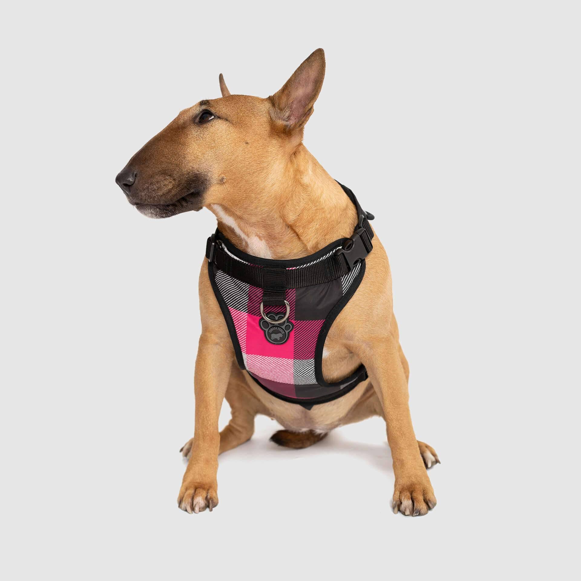 The Everything Harness Water-Resistant Series - Splatter - Canada Pooch - Dog Apparel & Accessories