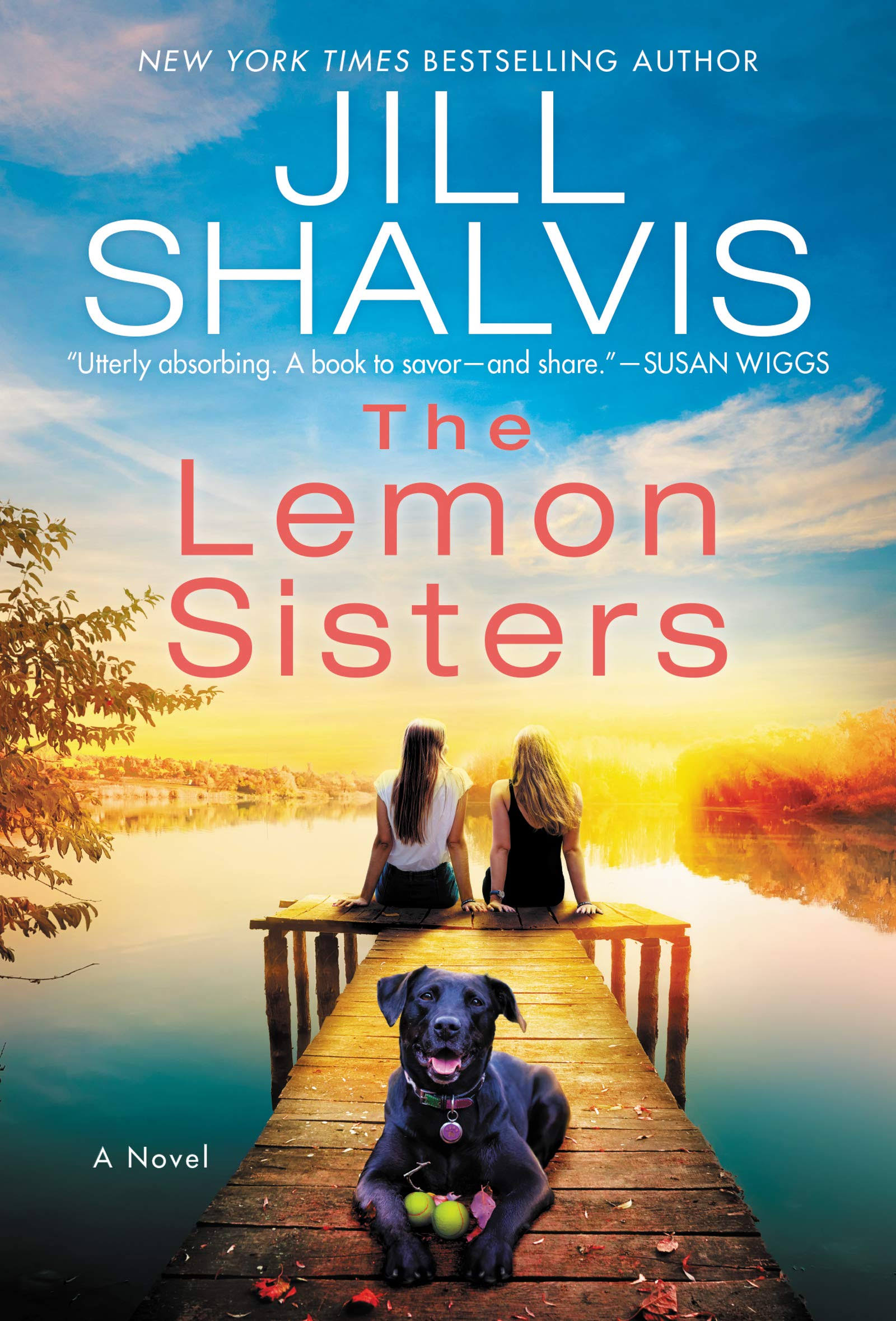 The Lemon Sisters: A Novel [Book]